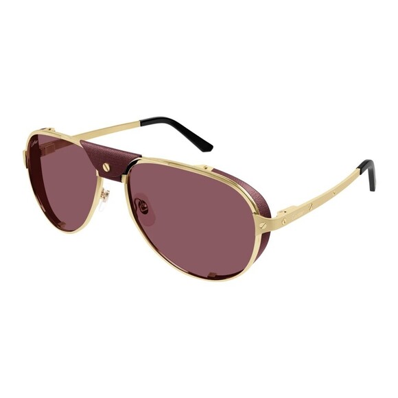 Cartier Accessories - NWT Cartier CT0296S-006 Sunglasses